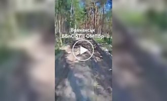 Украинский дрон-камикадзе петляет по лесным зарослям навстречу российскому танку