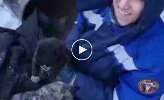 Carried out a whole operation to save a puppy stuck in a heating pipe