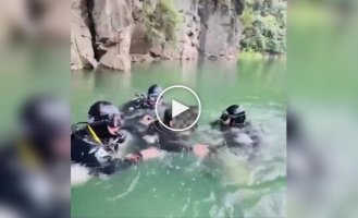 В Китае дайвер заблудился в подводной пещере и пять дней выживал, питаясь сырой рыбой