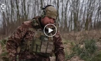 Наши артиллеристы уничтожили 9 укрытий противника, 2 пункта управления БПЛА и 3 группы пехоты