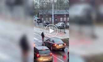 A family of wild boars crosses the road