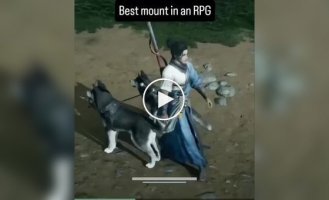 Кумедний маунт у китайській комп'ютерній грі