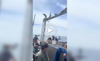 Рыба стала поперек горла