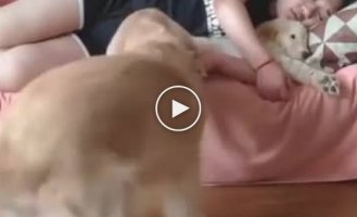 Да что вы знаете о ревности