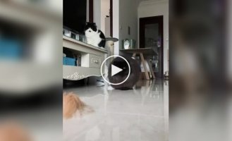 Привет от Дона Котлеоне