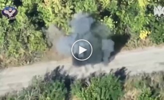 Slicing of the use of FPV drones by the Ukrainian military in Donbass