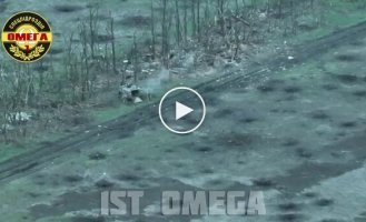 Ukrainian defenders successfully storm enemy positions in a forest belt