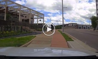 Meanwhile in the USA: criminal fails to outwit police