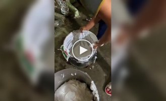 Making cakes in a pastry shop in India
