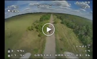 Impressive footage of Ukrainian FPV kamikaze drone strike on Russian infantry