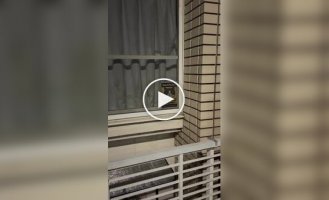 Лучшая система видеонаблюдения