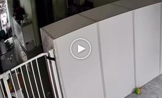 Мавпа вкрала їжу з будинку жінки, а потім вдарила її.