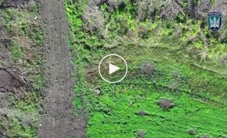 Птахи Мадяра только за сутки поразили 696 уникальных целей противника