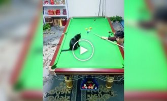 Billiards partner