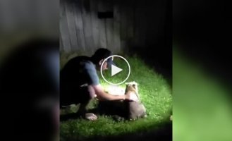 A man saved a raccoon that was choking on a tasty treat