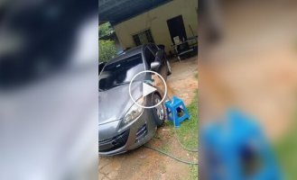 Кошка помыла машину хозяину