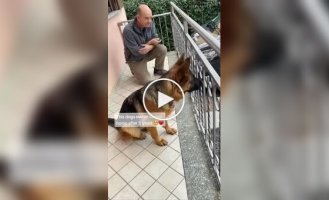 Собака встречает хозяина после долгой разлуки