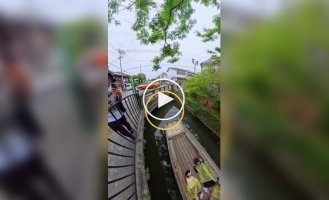 Unusual gondolier: who controls the boat in Yanagawa