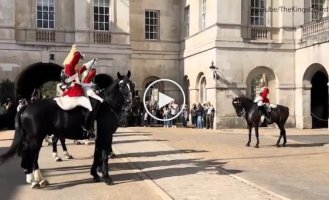 A soldier standing behind the royal stallion was hit below the belt - video