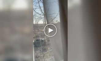 A resident of the Belgorod region looks out the window at the movement of an unknown unit under a flag similar to the EU flag