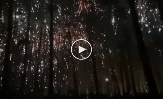 The Russians are again dropping incendiary ammunition on the forest near Lugansk
