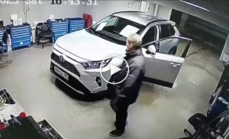 Сотрудник автосервиса нашел кота под капотом автомобиля