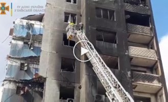 Відео порятунку бородянського кота опубліковала ДСНС