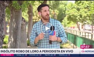 A daring robbery of a reporter from Chile live