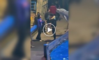 Белуха затушила сигарету курильщика в Китае