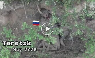Воины Нацполиции за месяц ликвидировали 108 российских солдат на Торецком направлении
