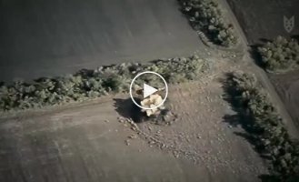 Бойцы ССО уничтожили САУ Акация, САУ Пион, РСЗО Ураган и комплекс РЭБ Житель на запорожском направлении