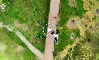 Прикордонники знищили гармату Д-30, міномет, вантажівку, 6 FPV-засід та пошкодили ворожі укриття