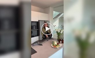 Что приготовим из рыбы