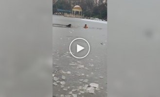 A man saved a boy from under the ice, but ended up in trouble himself