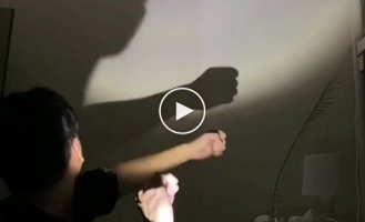 Shadow theater has reached a new level