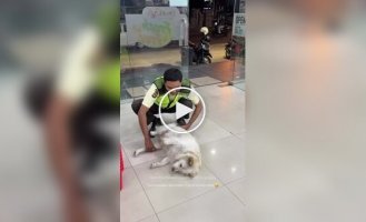 Охоронець виправдовує собаку з магазину