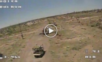 Kamikaze drone Wild Hornets destroyed the invaders' golf cart