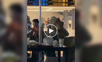 Бродячая собака доедала за людьми в аэропорту