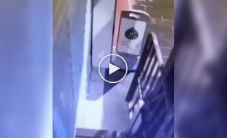 Robber fled the scene of the crime on a donkey.