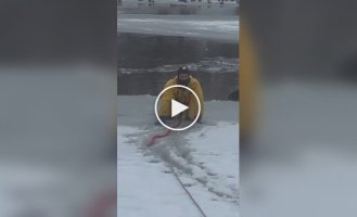The dog tried to bite the fireman who rescued him from the pond