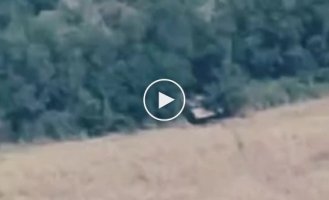 Ukrainian kamikaze FPV drone destroys Russian BREM-1 in the direction of Kupyansk