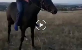Не умеешь - не берись! Попытка оседлать лошадь с треском провалилась