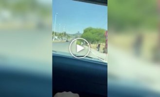 Странные видео (короткие видео). Выпуск 32
