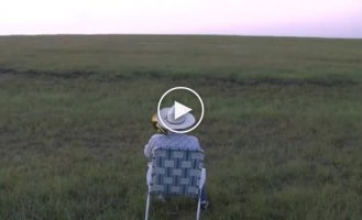 Подпевающие фермеру коровы