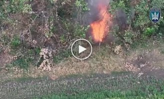 Two drones chased an occupier to death in a forest belt