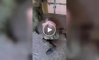 Окупанти б'ють палицею свого товариша