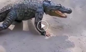 Шутник подкрался незаметно