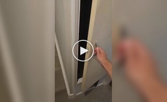 Парень сделал для своего кота королевский туалет