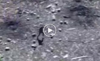 Украинский десантник уничтожил российского штурмовика очередью из автомата на Покровском направлении