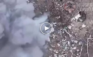 Ukrainian FPV drones attack Russian infantry in the Donetsk region